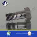 Nonstandard Stainless Steel Hexagonal Bolt